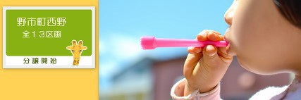 香南市野市町西野　分譲開始